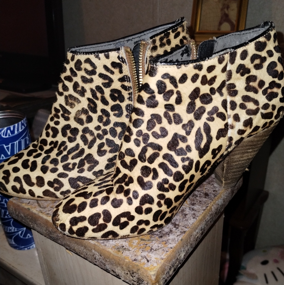 Kimchi blue Leopard print booties